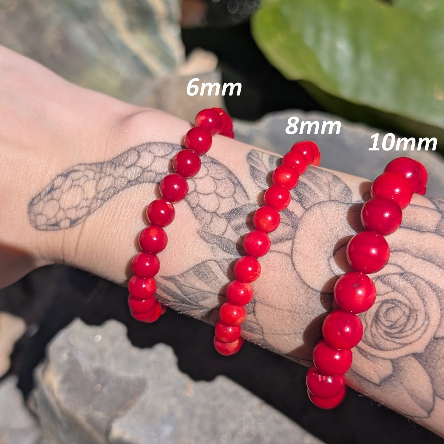 8mm Red Coral Bracelet