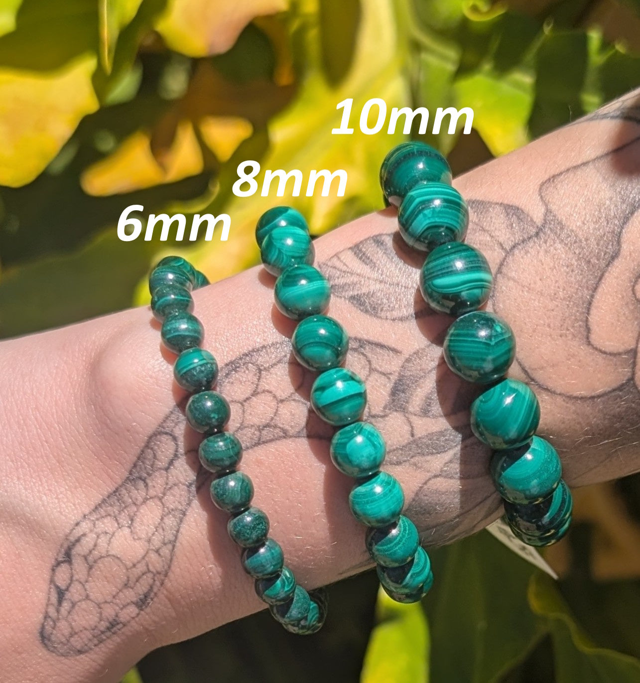 6mm Malachite Bracelet